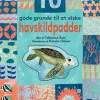 10 gode grunde til at elske havskildpadder> Best