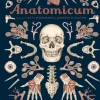Anatomicum> Hot