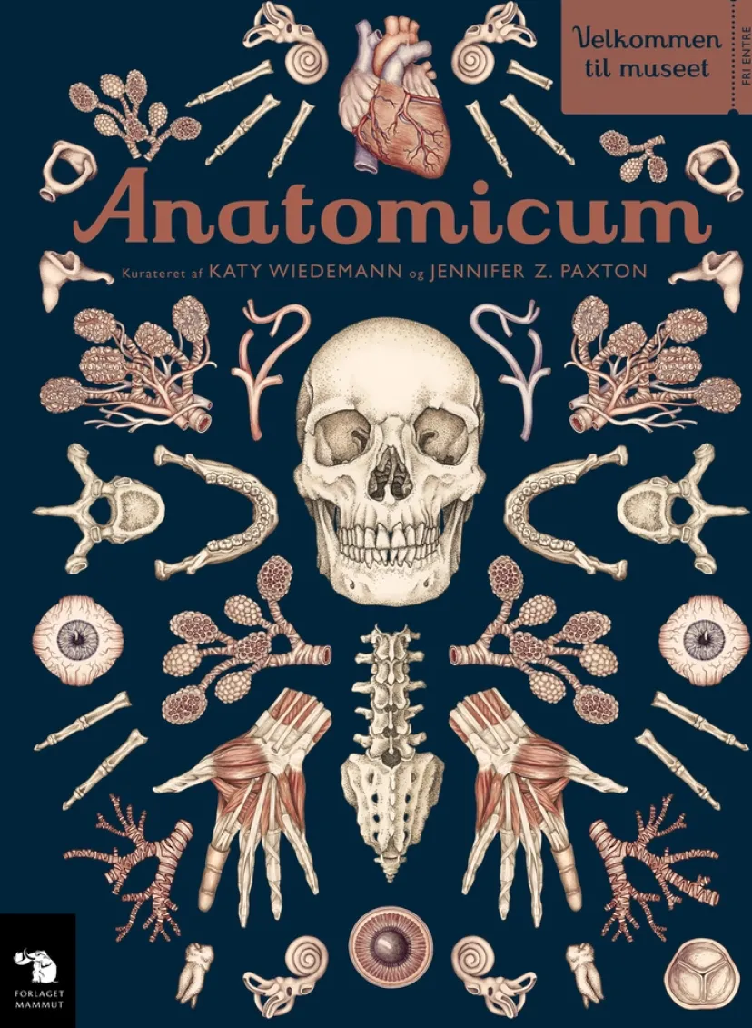Anatomicum> Hot