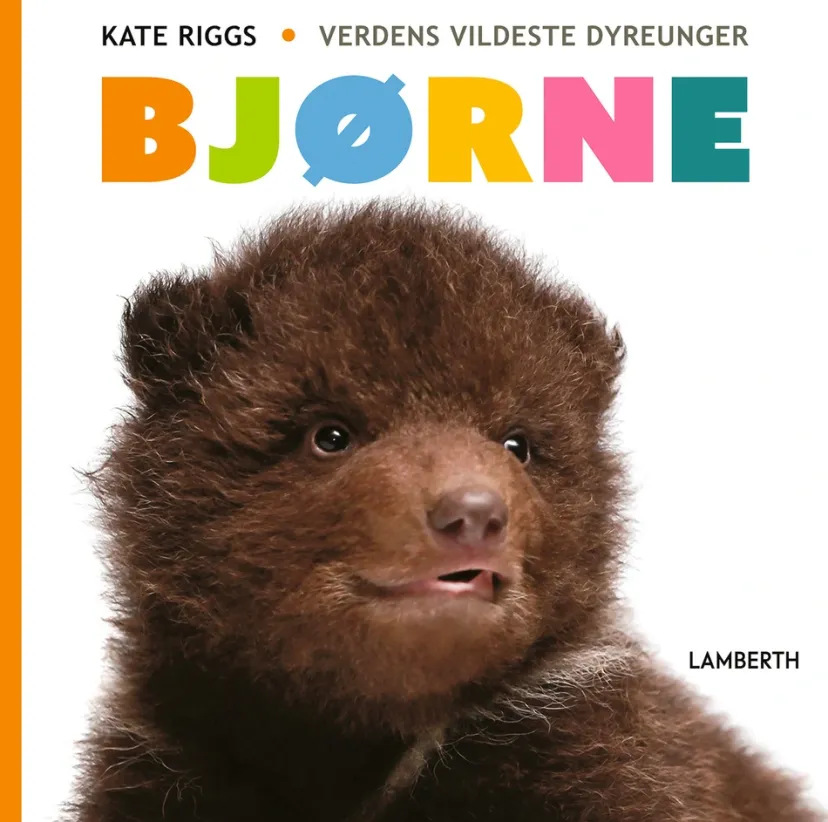 Bjørne> Outlet