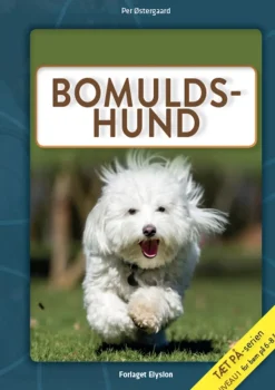 Bomulds-hund> New