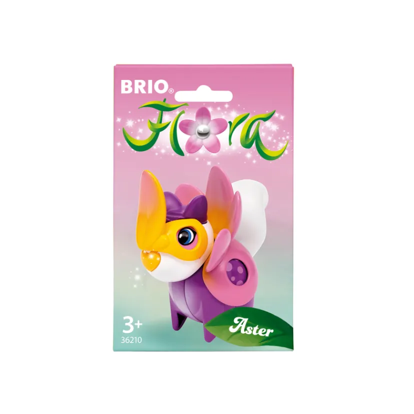 Flora 36210 Aster Blomsterdragt>Brio Sale