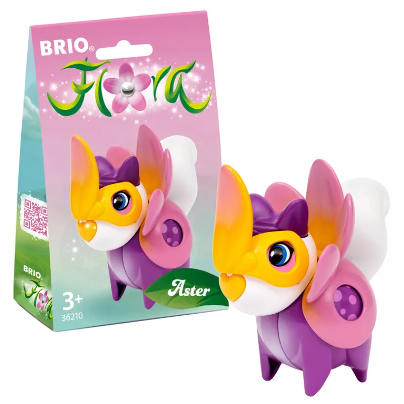 Flora 36210 Aster Blomsterdragt>Brio Sale