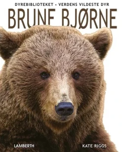 Brune bjørne> Clearance