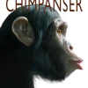 Chimpanser> Outlet