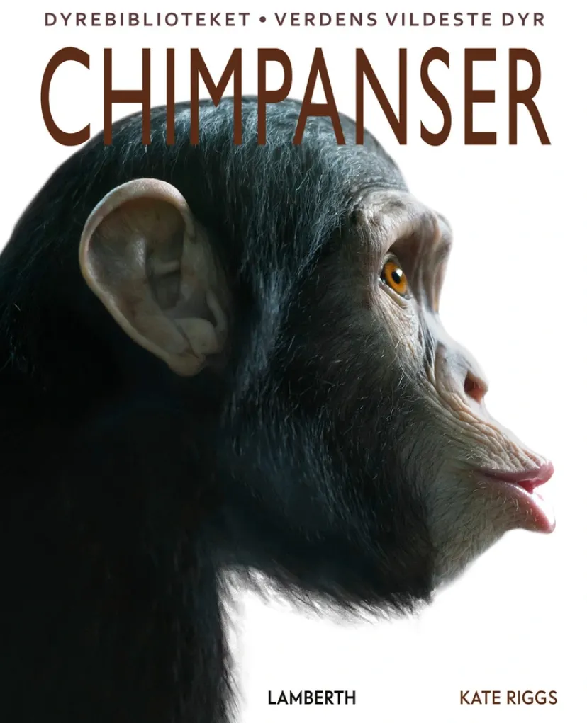 Chimpanser> Outlet
