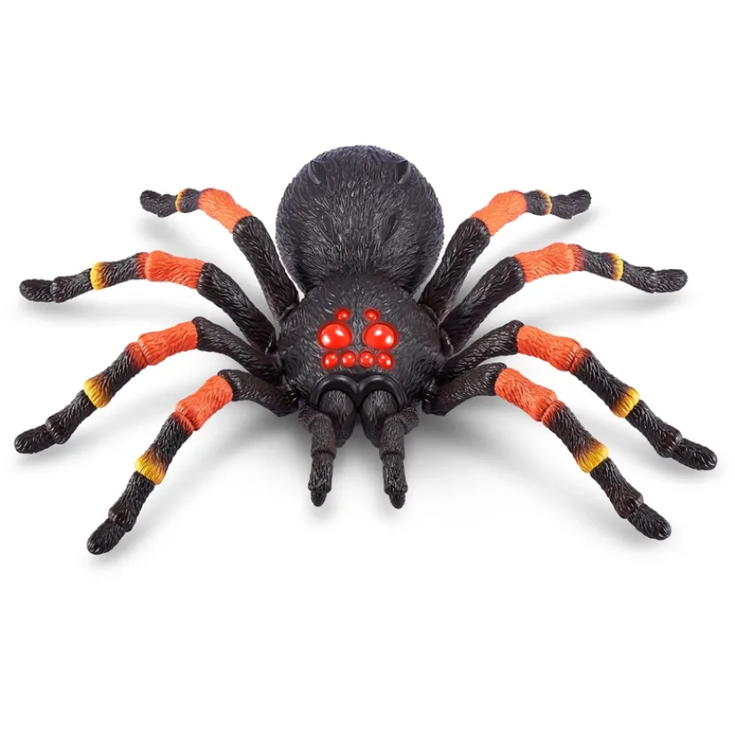 Creepy Crawly Pack> Outlet