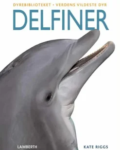 Delfiner> Hot