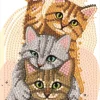 Diamond art kattekillinger 13 x 18 cm> Best
