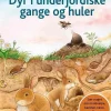Dyr i underjordiske gange og huler> Hot