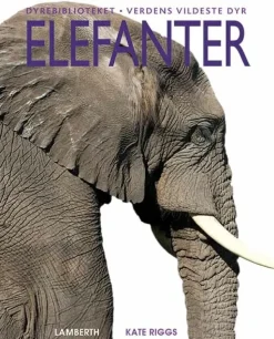 Elefanter> Best