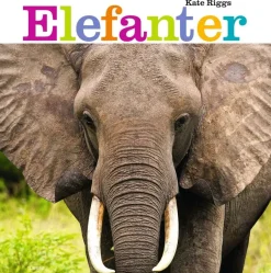 Elefanter> Sale