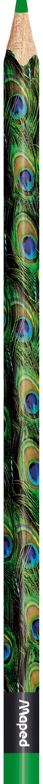 Farveblyant Maped colorpeps animals 24> New