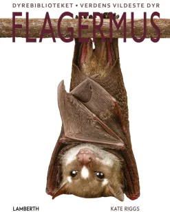 Flagermus> Clearance