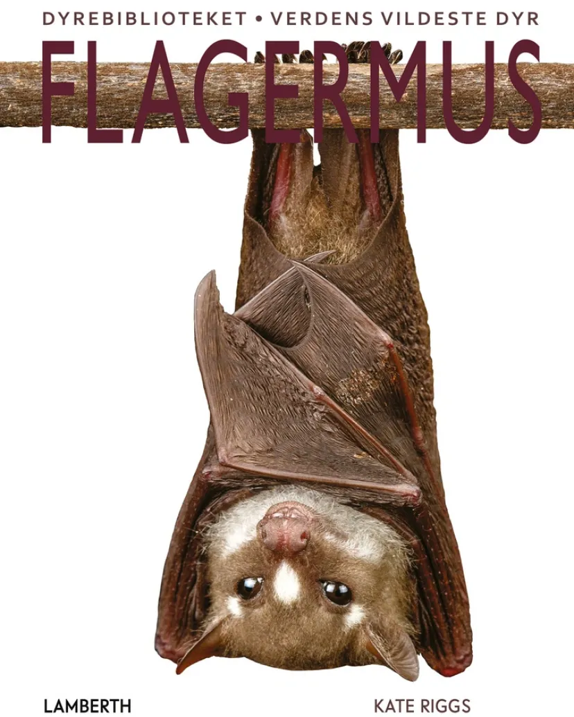 Flagermus> Clearance