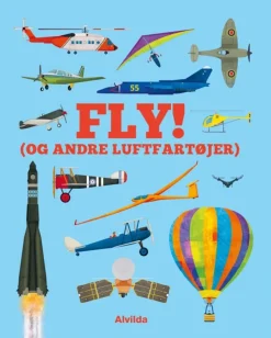 Fly (og andre luftfartøjer)> Hot