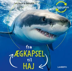 Fra ægkapsel til haj> New