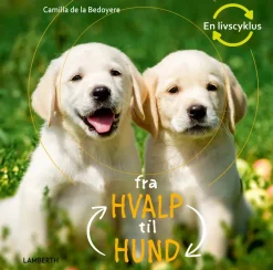 Fra hvalp til hund> Discount