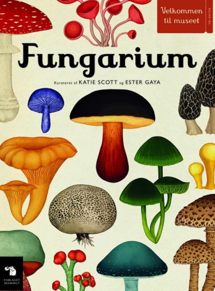 Fungarium> Clearance