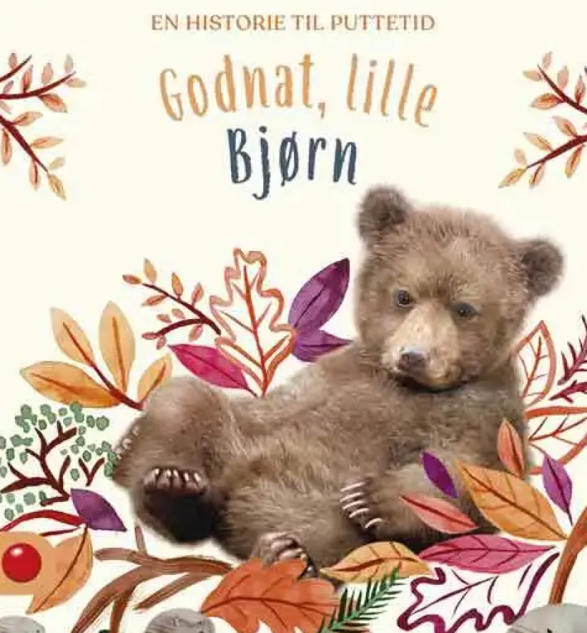 Godnat, lille Bjørn>