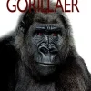 Gorillaer> Hot