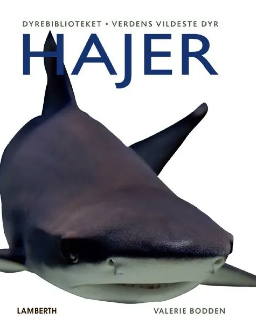 Hajer>