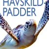 Havskildpadder> Hot