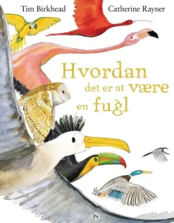 Hvordan det er at være en fugl> Best