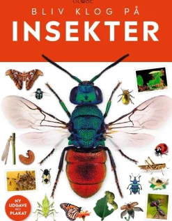 Insekter> New