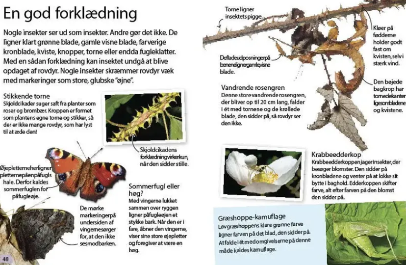 Insekter og edderkopper> Discount