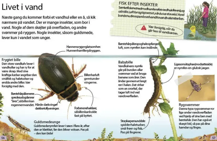 Insekter og edderkopper> Discount