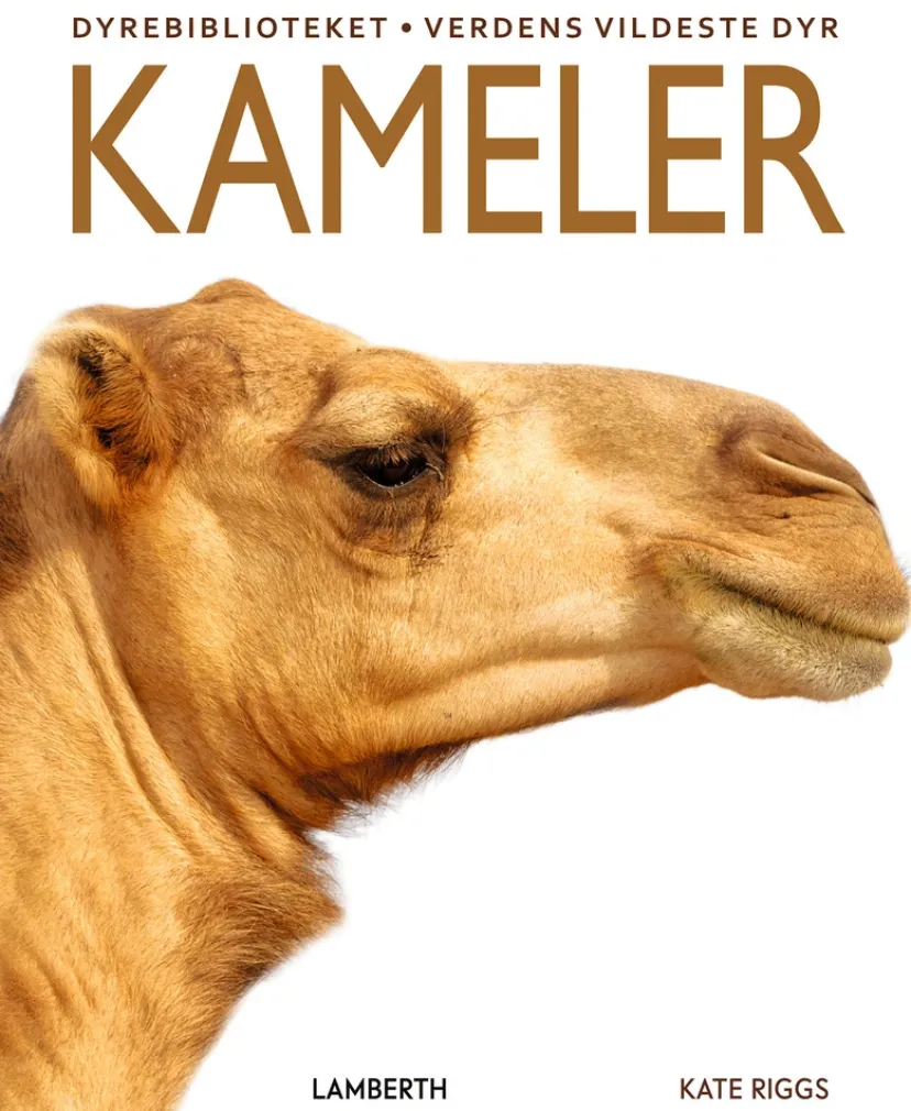 Kameler>