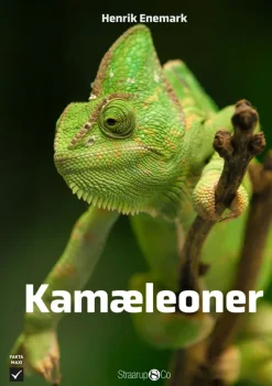 Kamæleoner> Clearance