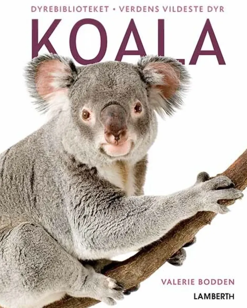 Koala> New