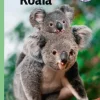 Koala, Grøn Fagklub> Best