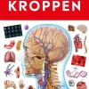 Kroppen> Outlet