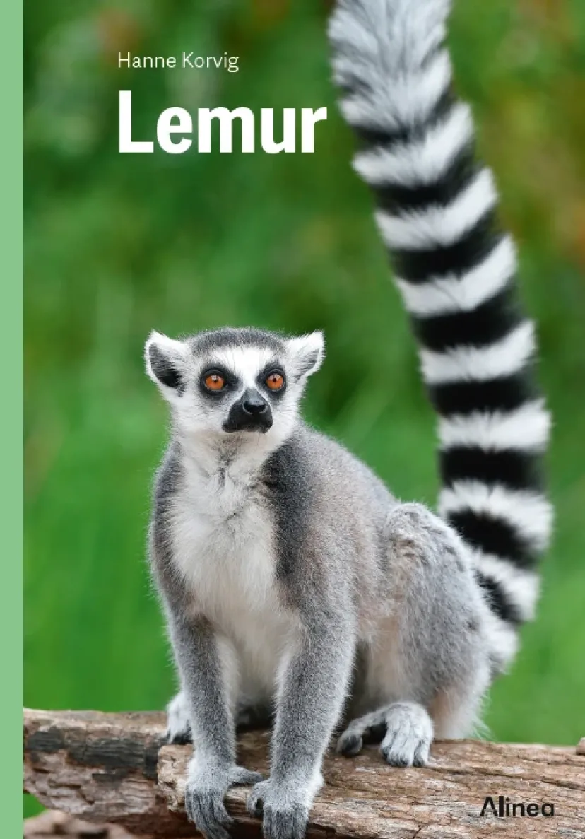 Lemur, Grøn Fagklub>