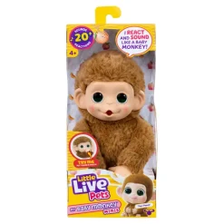 My Baby Mini Monkey Ass><noscript><img width=