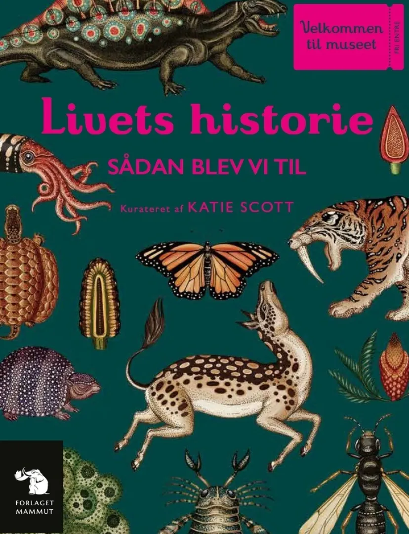 Livets historie> Discount