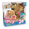 Moji the Lovable Labradoodle>My Fuzzy Friends