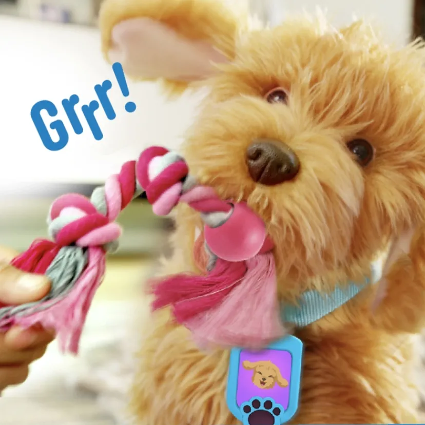 Moji the Lovable Labradoodle>My Fuzzy Friends