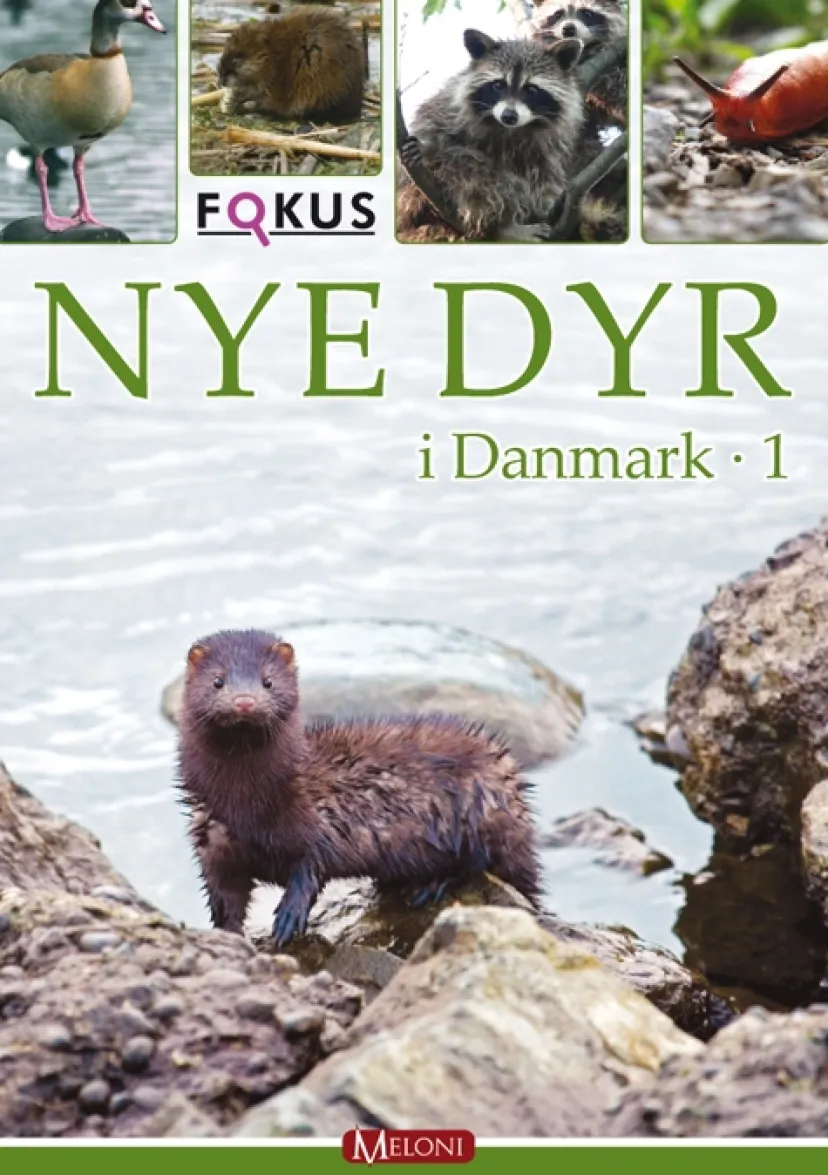 Nye dyr i Danmark 1> Hot