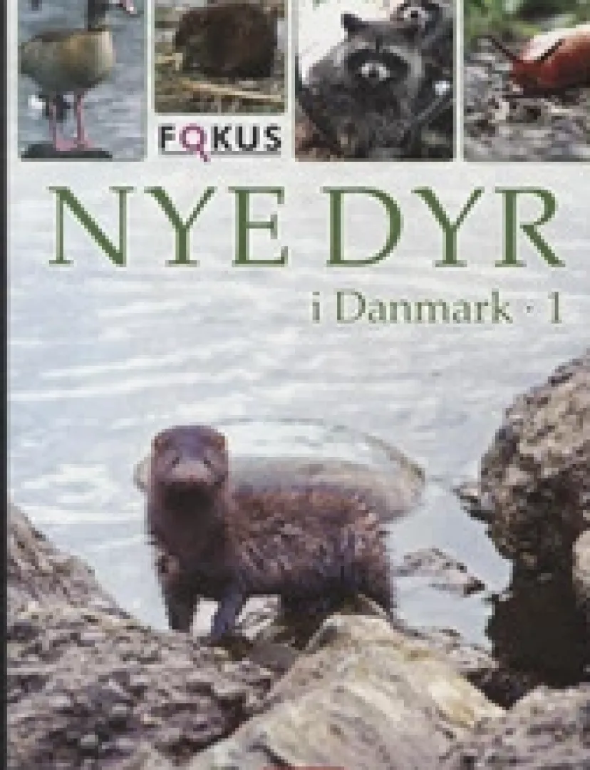 Nye dyr i Danmark 1> Hot