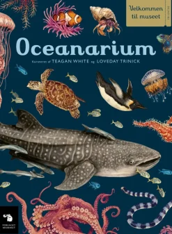 Oceanarium> Outlet