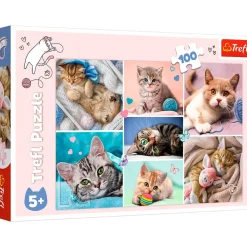 Puslespil In the cat world 100 brikker>TREFL Online