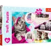 Puslespil Lovely kittens 160 brikker>TREFL Online