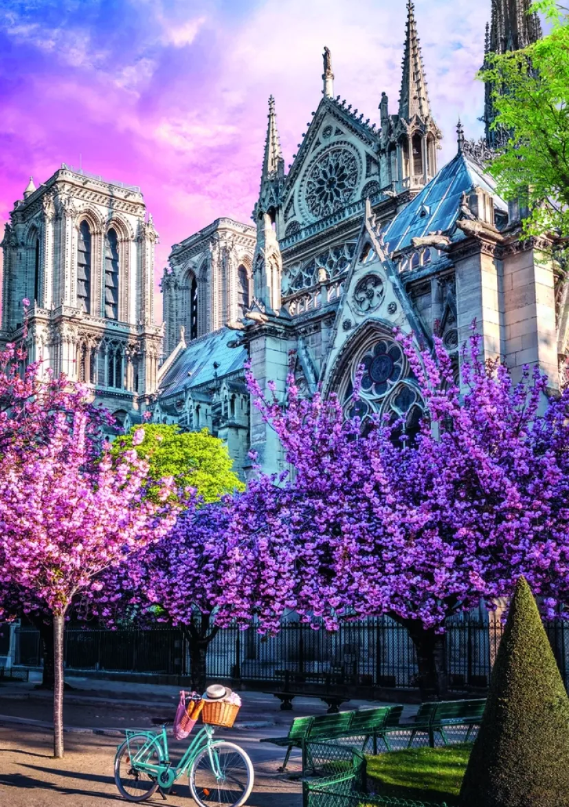 Puslespil Notre Dame Cathedral of Paris 1000 brikker>TREFL Best