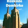 Roskilde Domkirke> New
