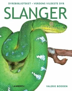 Slanger> Hot