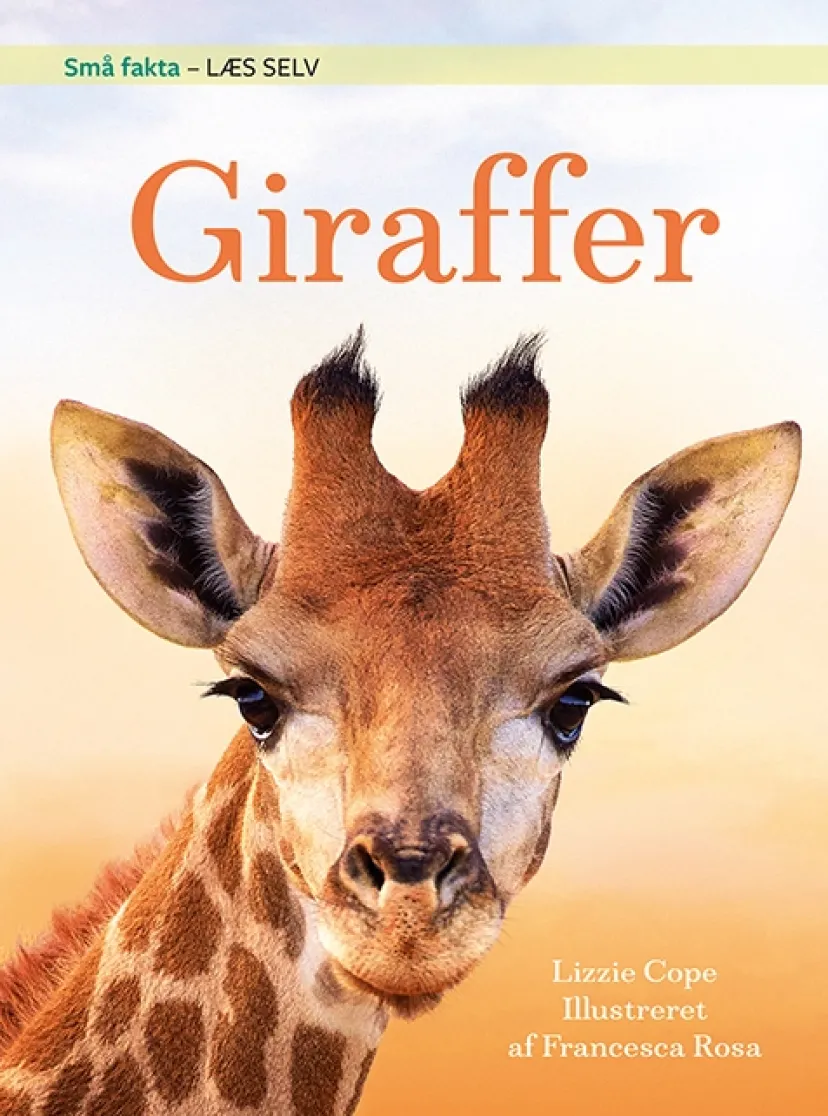 Små fakta: Giraffer>